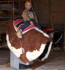 Photo little boy riding mechanical bull