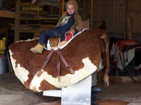 Photo boy posing on mechanical bull